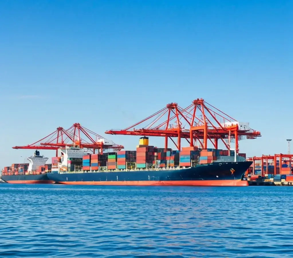 Why Regional Logistics Expertise Matters in Global Shipping- hugsol
